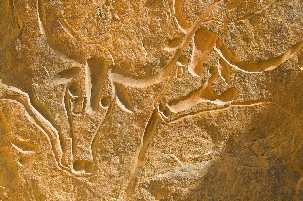 Famous rock inscription of a crying cow, (La Vache Qui Pleure), near Djanet, Algeria, North Africa, Africa