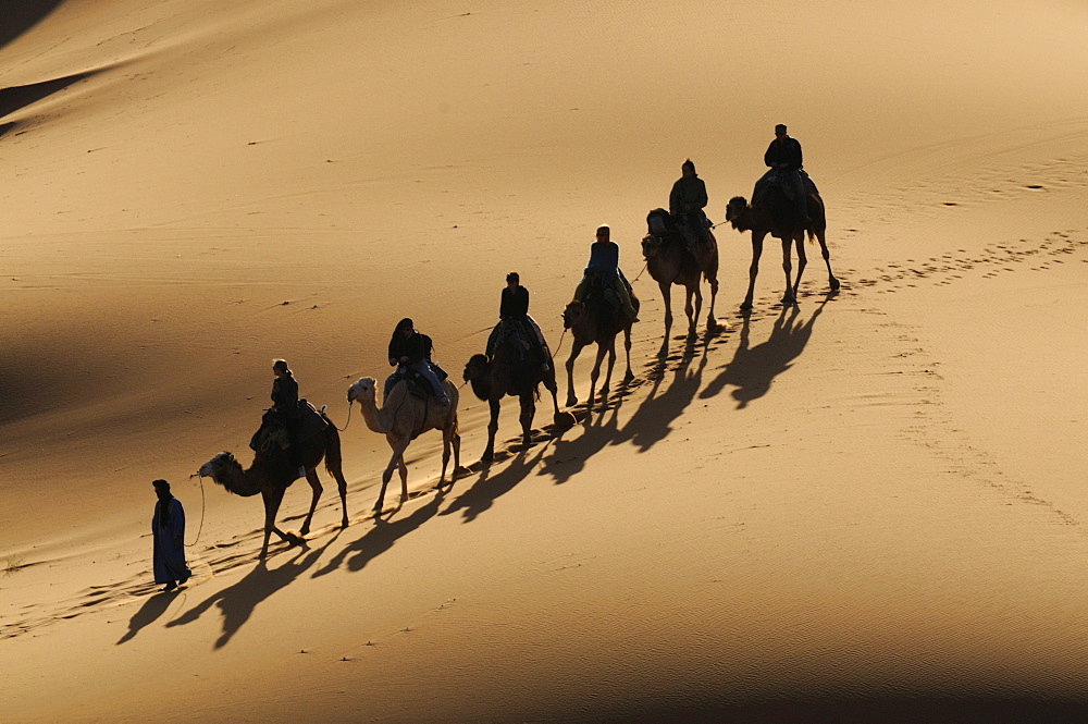 Bedouin caravan riding through the Sahara Desert, near Merzouga, Morocco, North Africa, Africa