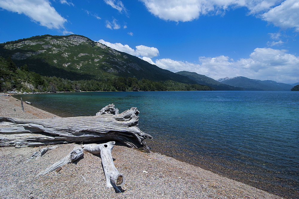 Mountain lake with wild flowers, Ruta de los Siete Lagos, Argentina, South America