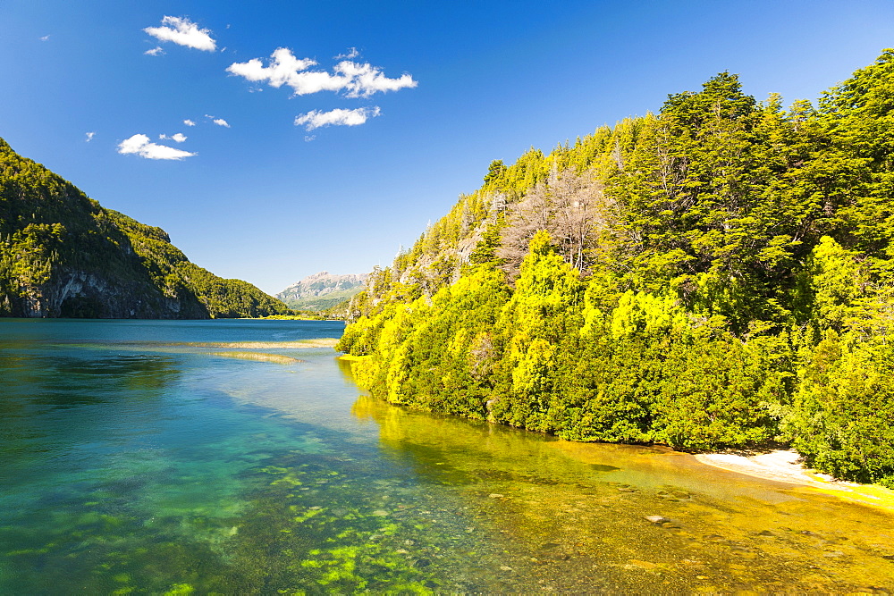 Crystal clear water in the Los Alerces National Park, Chubut, Patagonia, Argentina, South America