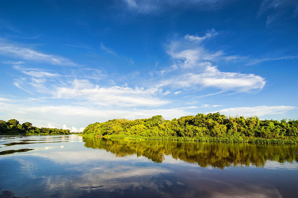 Trees reflecting in the water in a river in the Pantanal, UNESCO World Heritage Site, Brazil, South America