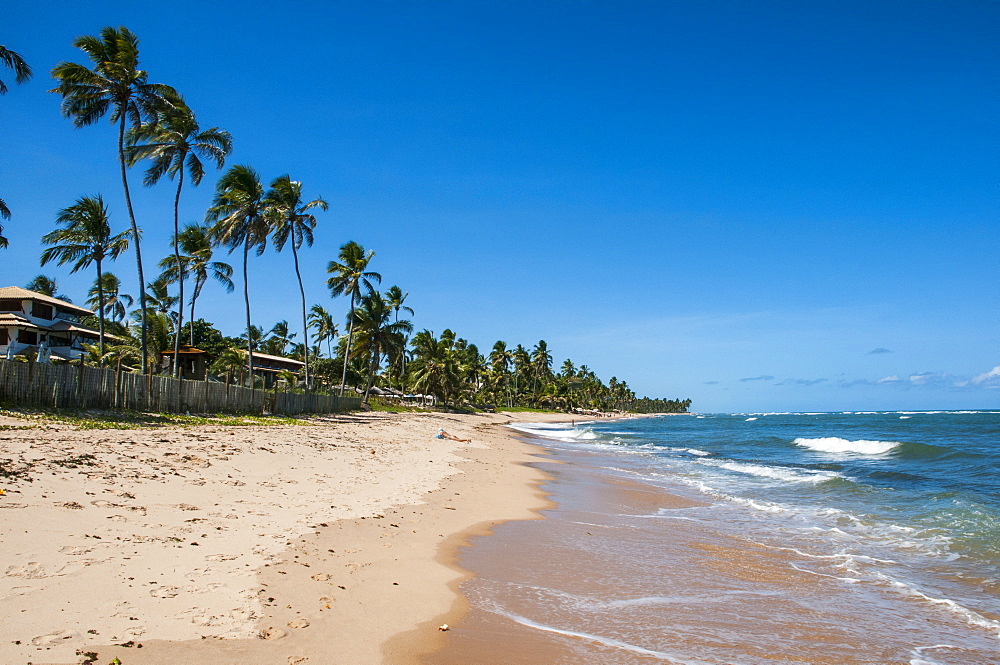 Tropical beach in Praia do Forte, Bahia, Brazil, South America