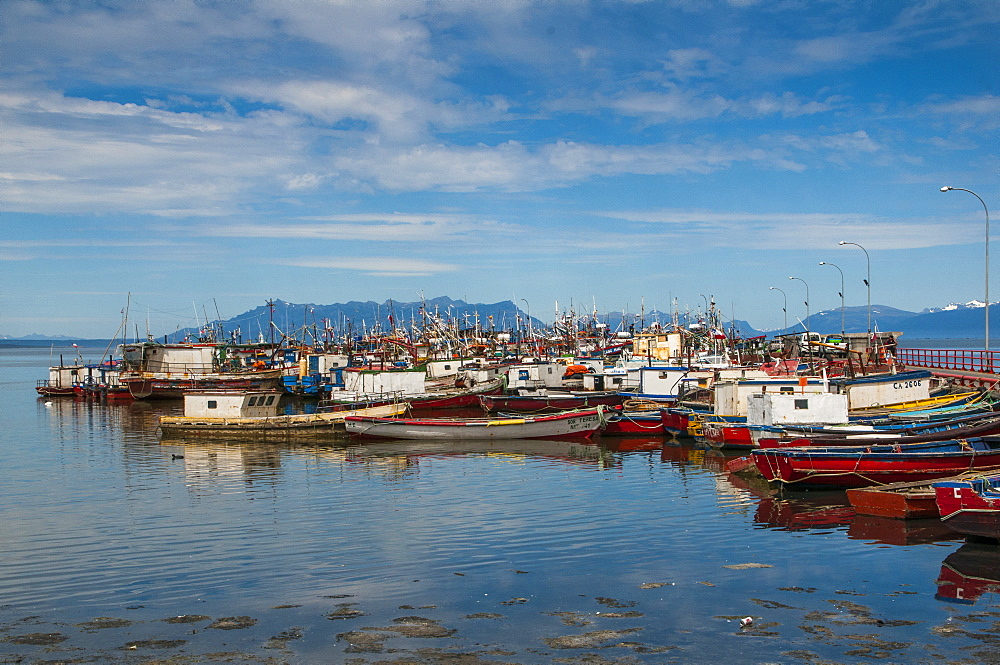 Many little boats in the harbour of Puerto Natales, Patagonia, Chile, South America 