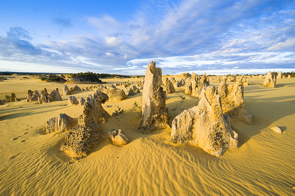 The Pinnacles limestone formations at sunset in Nambung National Park, Western Australia, Australia, Pacific 