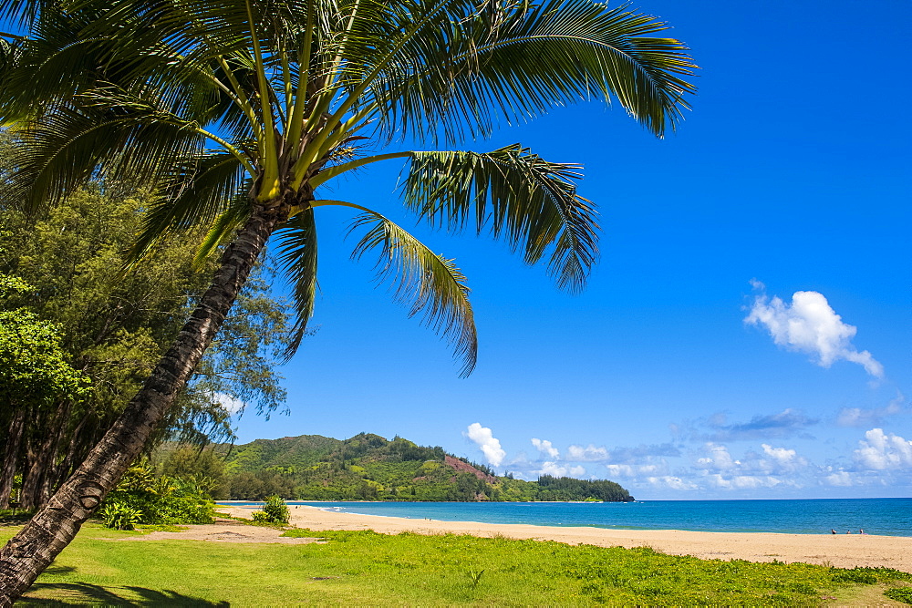 Bay of Hanalai on the island of Kauai, Hawaii, United States of America, Pacific