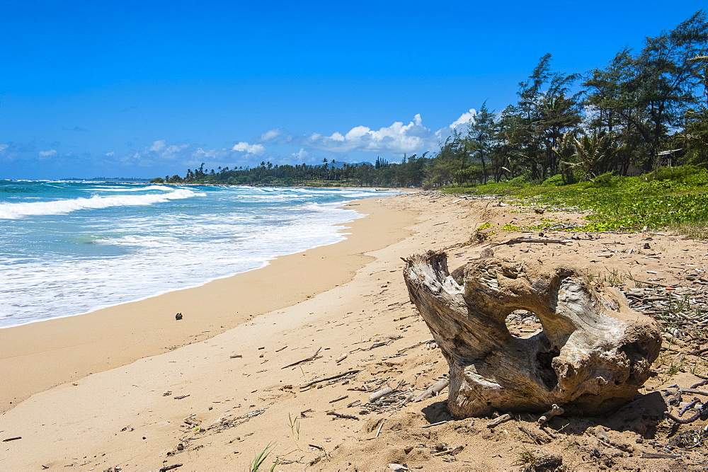 Sandy beach on Kapaa Beach Park on the island of Kauai, Hawaii, United States of America, Pacific