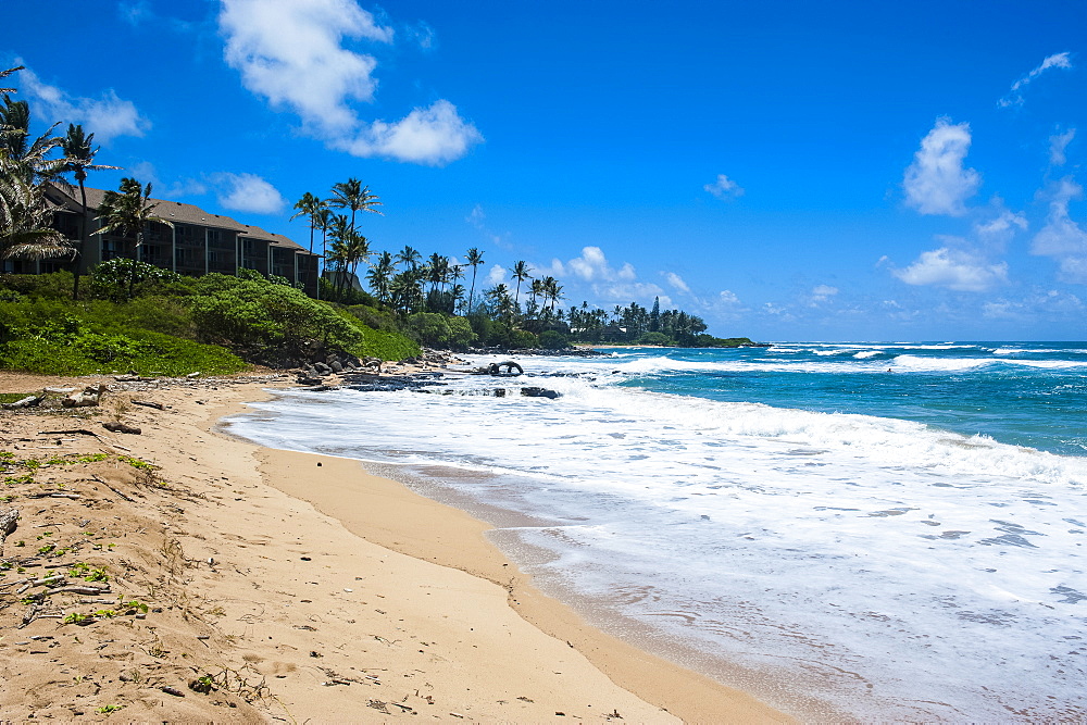 Sandy beach on Kapaa Beach Park on the island of Kauai, Hawaii, United States of America, Pacific