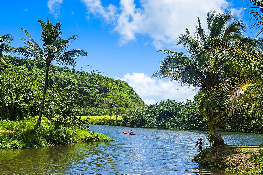 Wailua River. Kauai, Hawaii, United States of America, Pacific