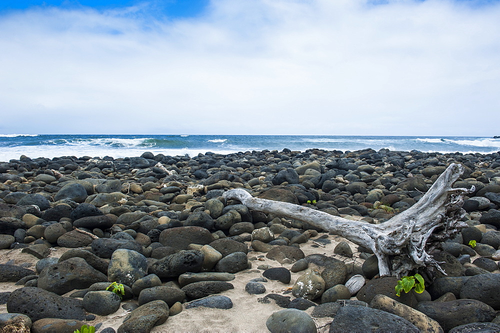 Huge pebbles on the Halawa beach in Halawa Bay on the island of Molokai, Hawaii, United States of America, Pacific