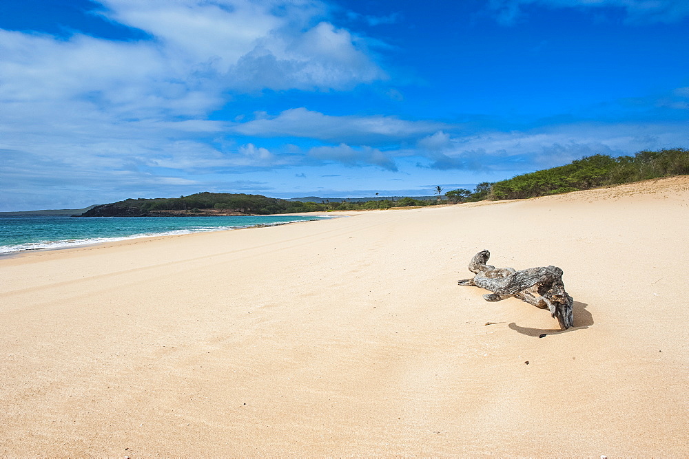 Papohaku Beach, island of Molokai, Hawaii, United States of America, Pacific