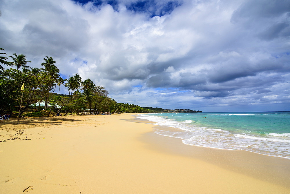 Playa Grande, Dominican Republic, West Indies, Caribbean, Central America