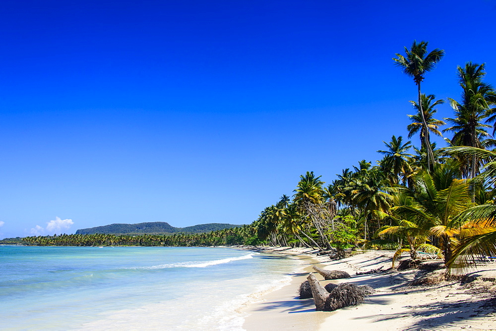 Playa Grande, Las Galeras, Semana peninsula, Dominican Republic, West Indies, Caribbean, Central America