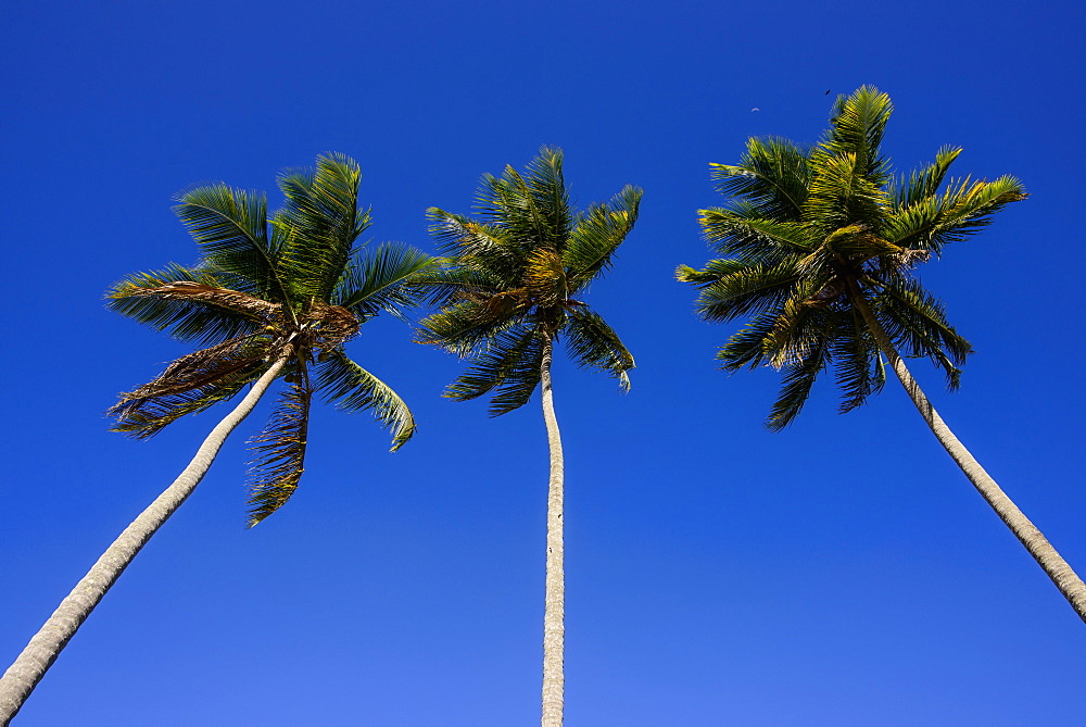 Playa Rincon, Las Galeras, Semana peninsula, Dominican Republic, West Indies, Caribbean, Central America