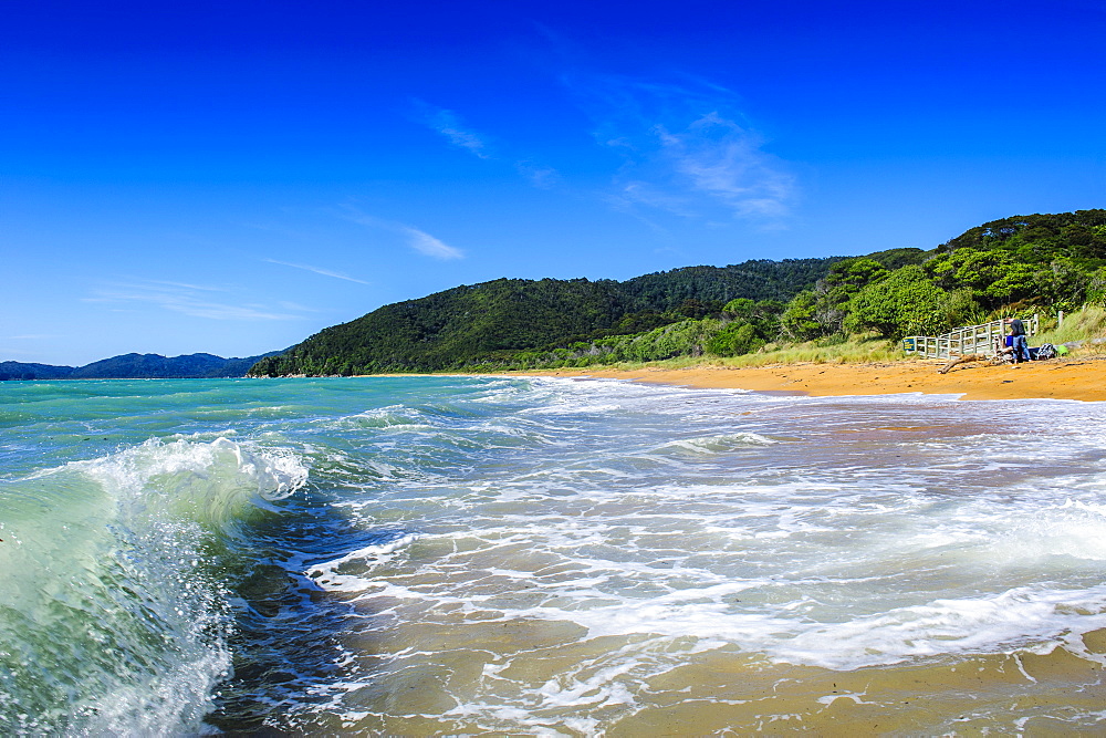 Long sandy beach, Abel Tasman National Park, South Island, New Zealand, Pacific