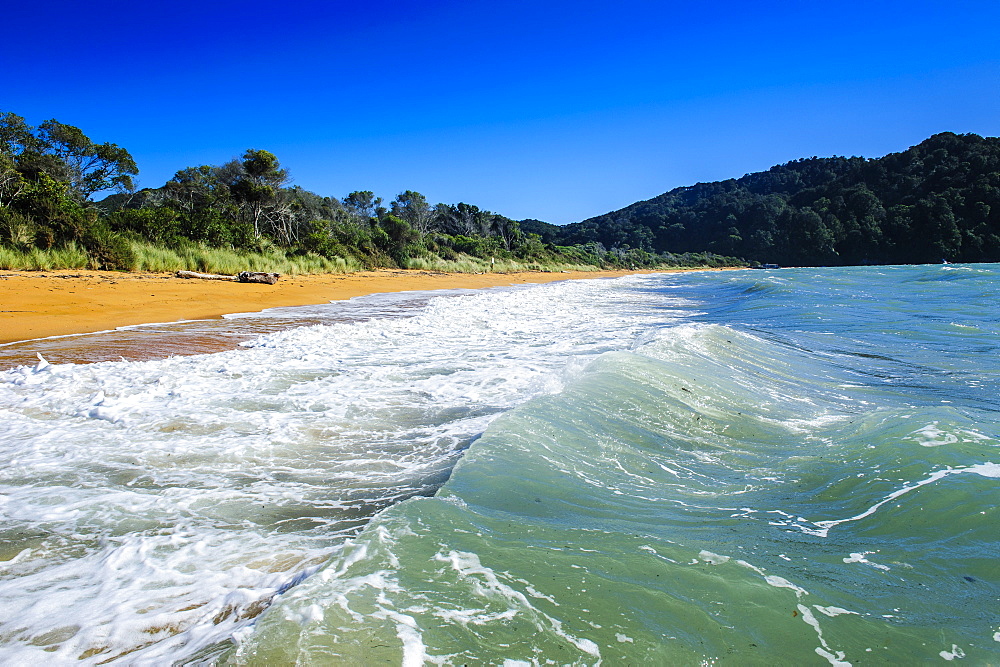 Long sandy beach, Abel Tasman National Park, South Island, New Zealand, Pacific