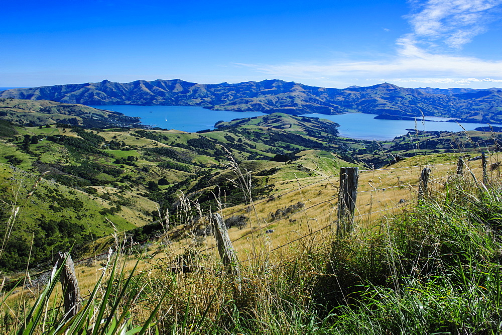 Beautiful scenery around Akaroa harbour, Banks Peninsula, Canterbury, South Island, New Zealand, Pacific