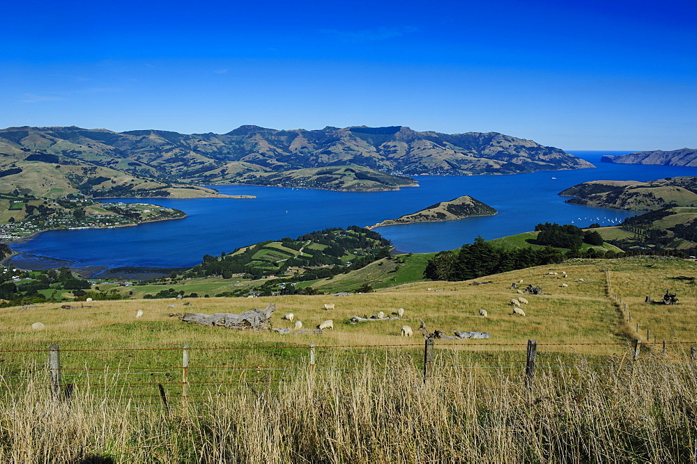 Beautiful scenery around Akaroa harbour, Banks Peninsula, Canterbury, South Island, New Zealand, Pacific