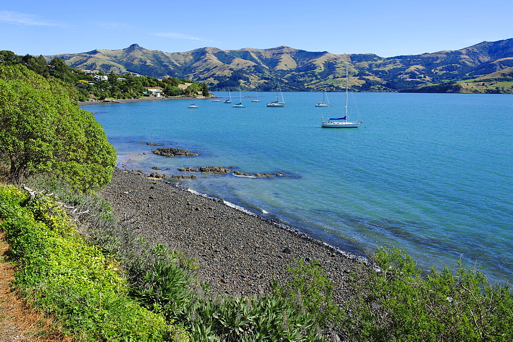 Little boats in the Akaroa harbour, Banks Peninsula, Canterbury, South Island, New Zealand, Pacific