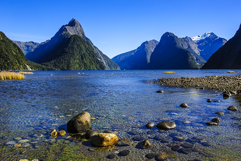 The steep cliffs of Milford Sound, Fiordland National Park, UNESCO World Heritage Site, South Island, New Zealand, Pacific