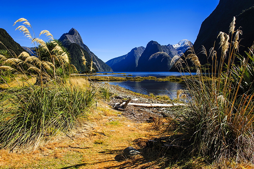 The steep cliffs of Milford Sound, Fiordland National Park, UNESCO World Heritage Site, South Island, New Zealand, Pacific