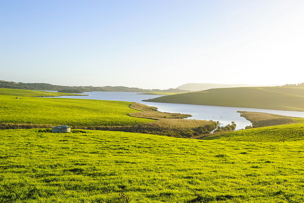 Little lake in green fields, the Catlins, South Island, New Zealand, Pacific