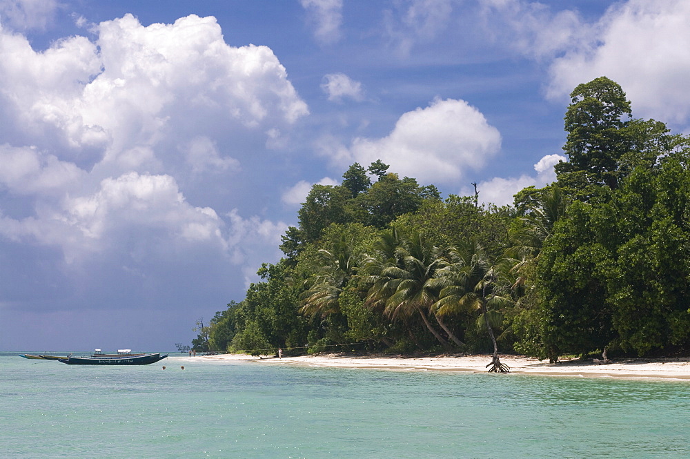 Boats on coast in turquoise sea, Havelock Island, Andaman Islands, India, Indian Ocean, Asia