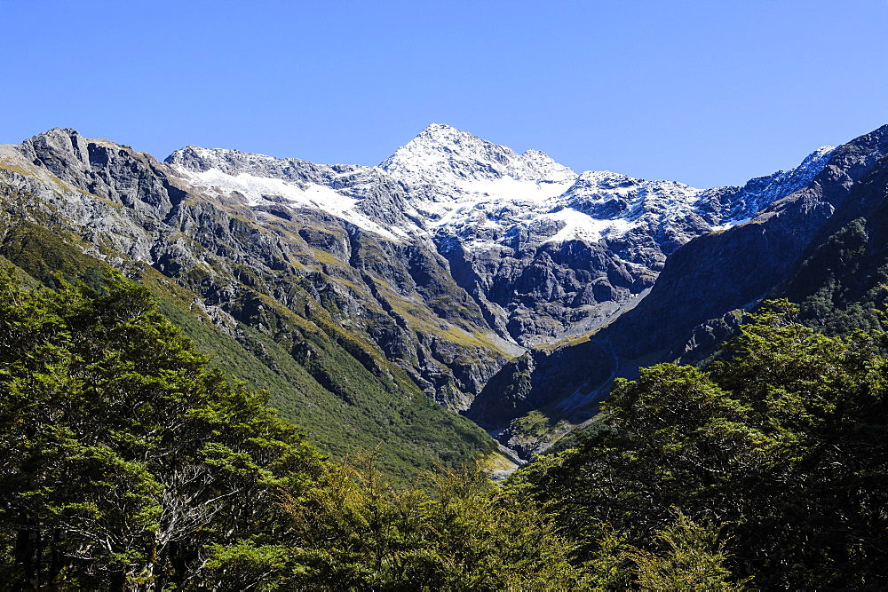 Otira Gorge road, Arthur's Pass, South Island, New Zealand, Pacific