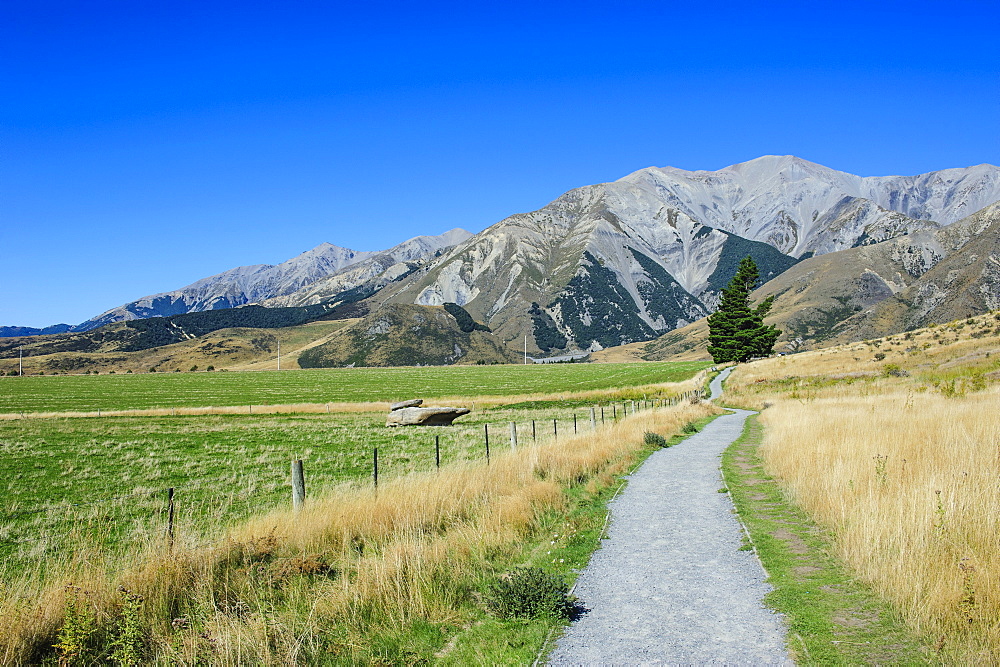 Footpath leading to Craigieburn Forest Park from Castle Hill, Canterbury, South Island, New Zealand, Pacific