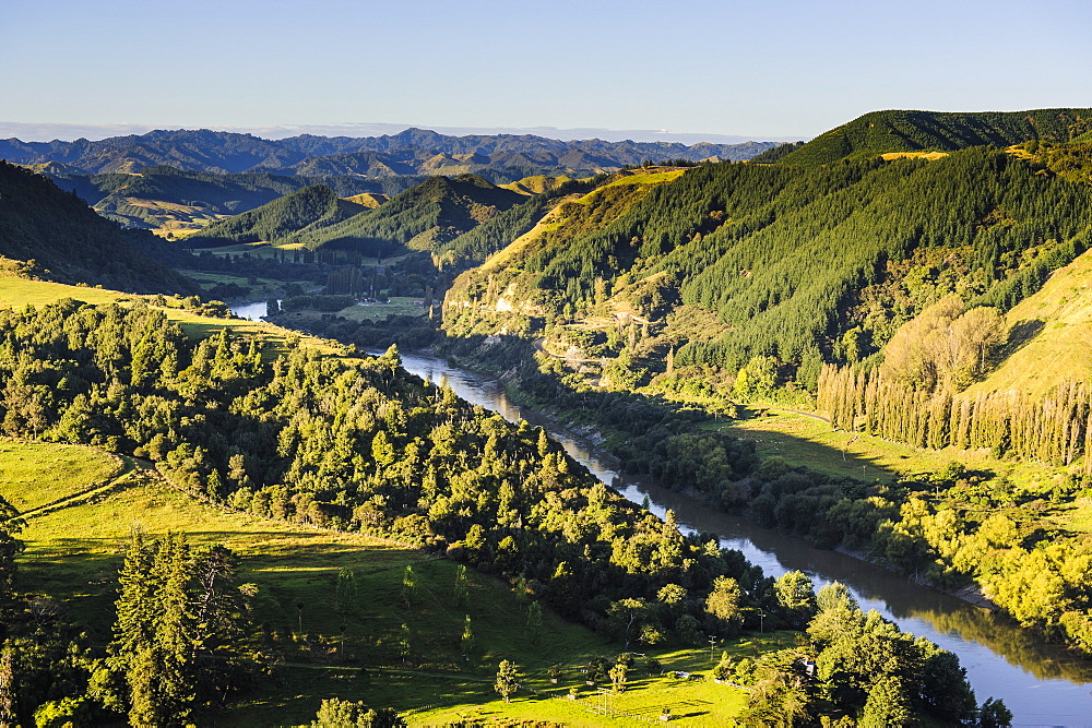 View over the Whanganui River in the lush green countryside, Whanganui River road, North Island, New Zealand, Pacific