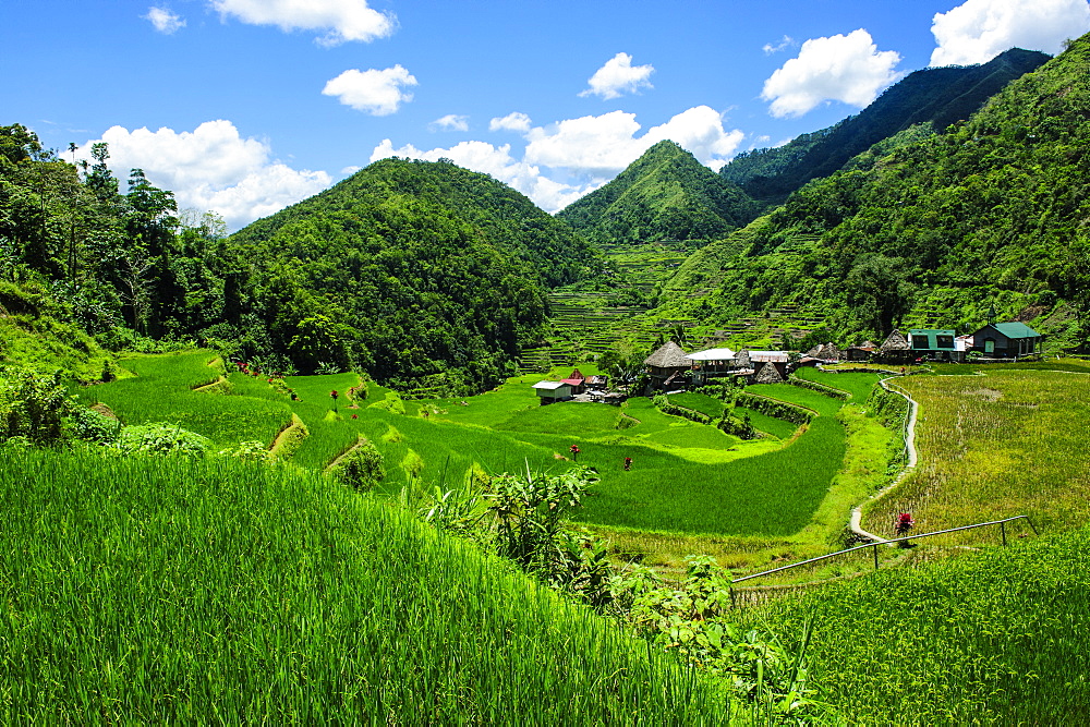 Bangaan in the rice terraces of Banaue, UNESCO World Heritage Site, Northern Luzon, Philippines, Southeast Asia, Asia