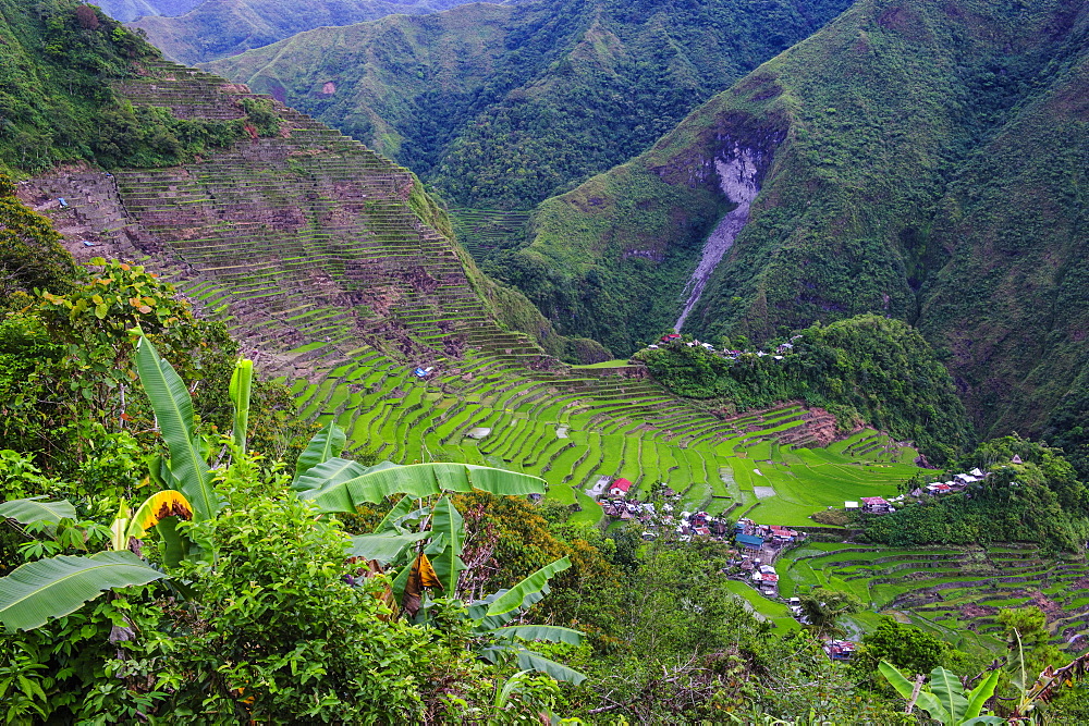 Batad rice terraces, part of the UNESCO World Heritage Site of Banaue, Luzon, Philippines, Southeast Asia, Asia