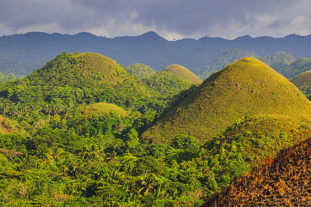 Chocolate Hills, Bohol, Philippines, Southeast Asia, Asia