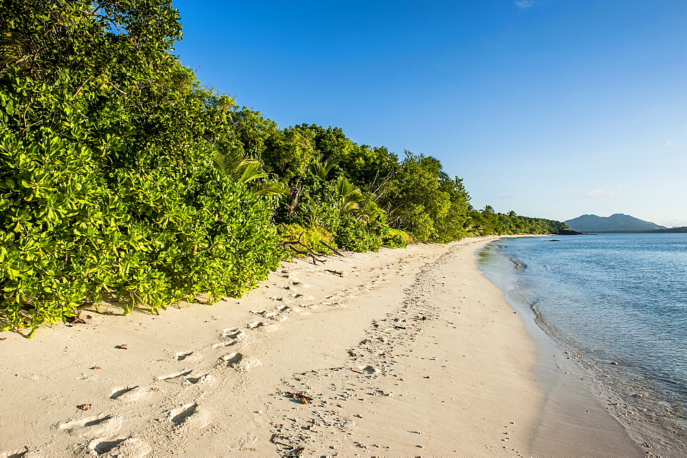 White sandy beach, Oarsman Bay, Yasawas, Fiji, South Pacific, Pacific