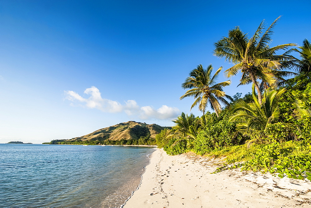 White sandy beach, Oarsman Bay, Yasawas, Fiji, South Pacific, Pacific