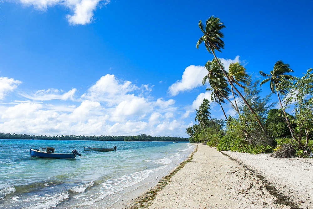 Palm fringed white sand beach on an islet of Vavau, Vavau Islands, Tonga, South Pacific, Pacific