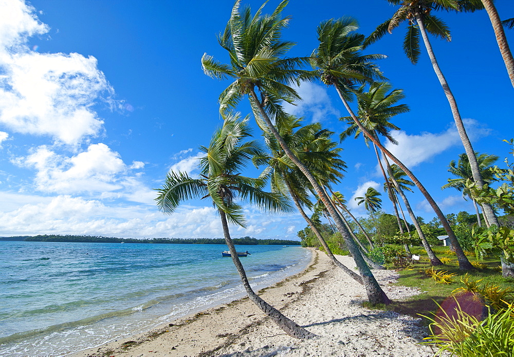 Palm fringed white sand beach on an islet of Vavau, Vavau Islands, Tonga, South Pacific, Pacific