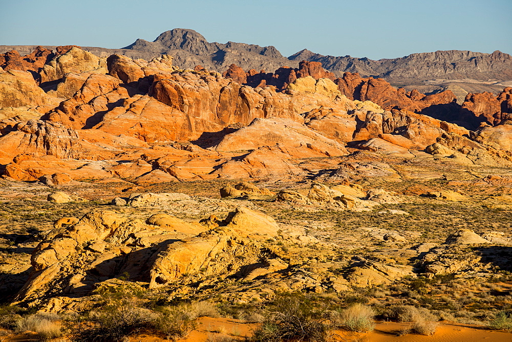 View over the redrock sandstone formations in the Valley of Fire State Park, Nevada, United States of America, North America