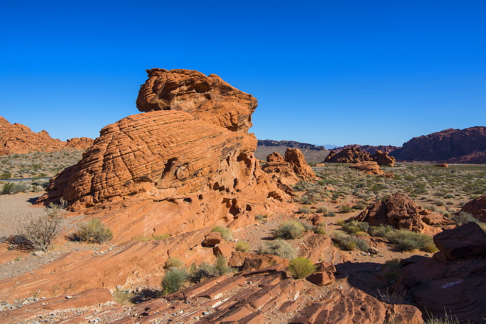 Redrock Sandstone formations at sunrise in the Valley of Fire State Park, Nevada, United States of America, North America