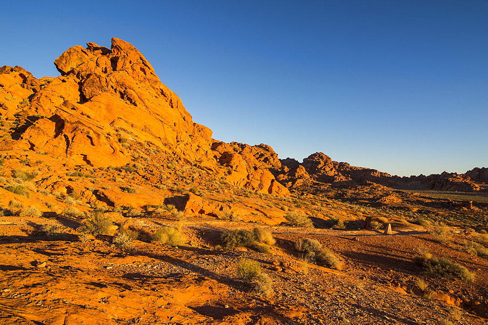 Redrock Sandstone formations at sunrise in the Valley of Fire State Park, Nevada, United States of America, North America