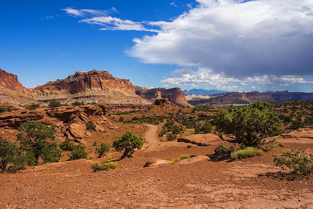 Red sandstone cliffs in the Capitol Reef National Park, Utah, United States of America, North America