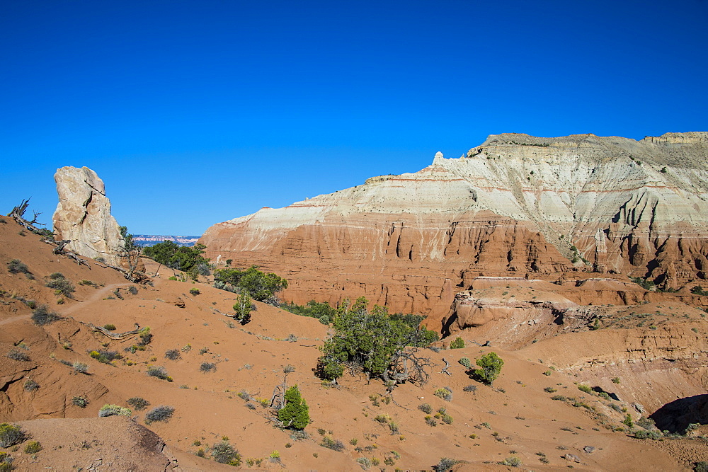 Redrock sandstone formations in the Kodachrome Basin State Park, Utah, United States of America, North America