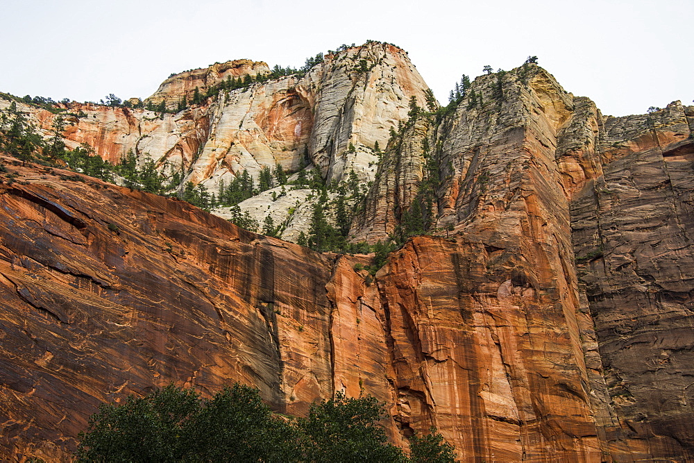 The towering cliffs of the Zion National Park, Utah, United States of America, North America