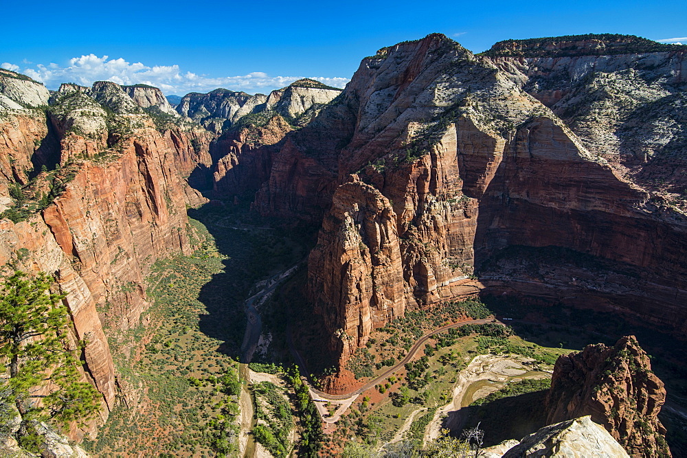 View over the Zion National Park from Angel's Landing, Zion National Park, Utah, United States of America, North America