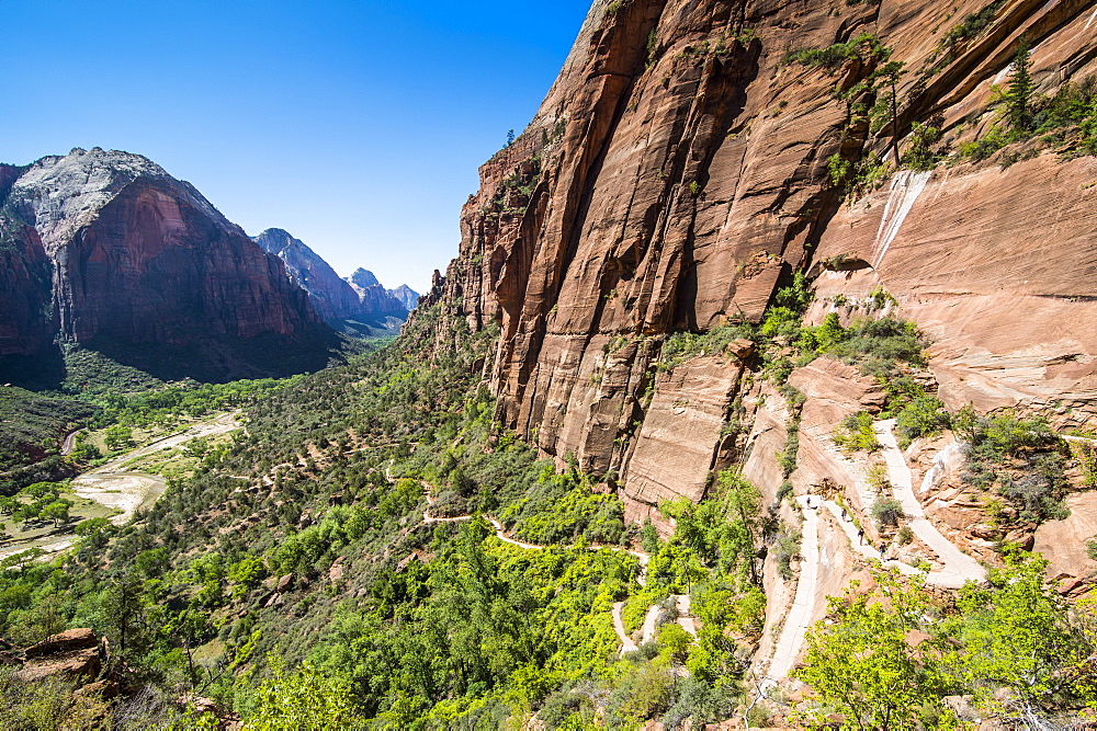 View over the cliffs of the Zion National Park and the Angel's Landing trail, Zion National Park, Utah, United States of America, North America