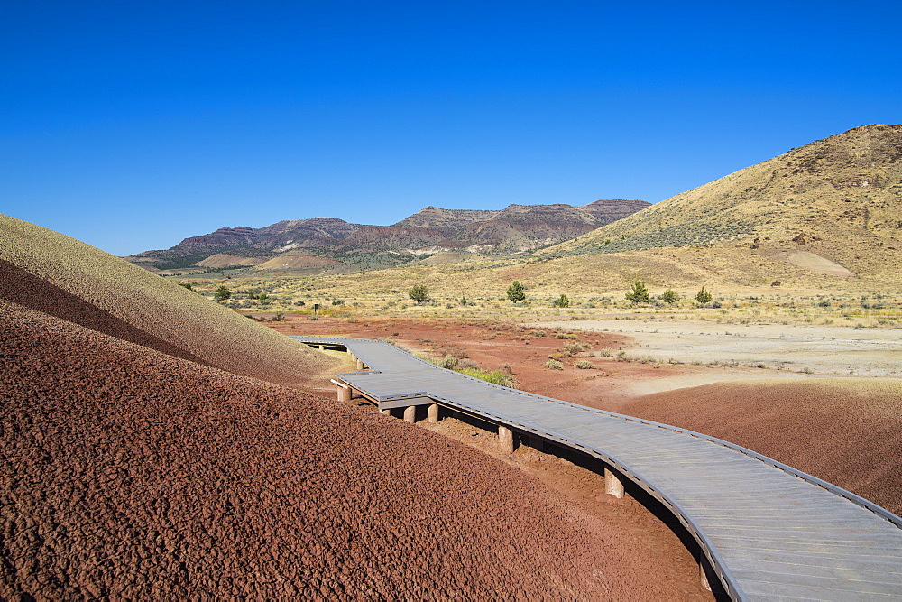 Multicoloured strata hill in the Painted Hills unit in the John Day Fossil Beds National Monument, Oregon, United States of America, North America