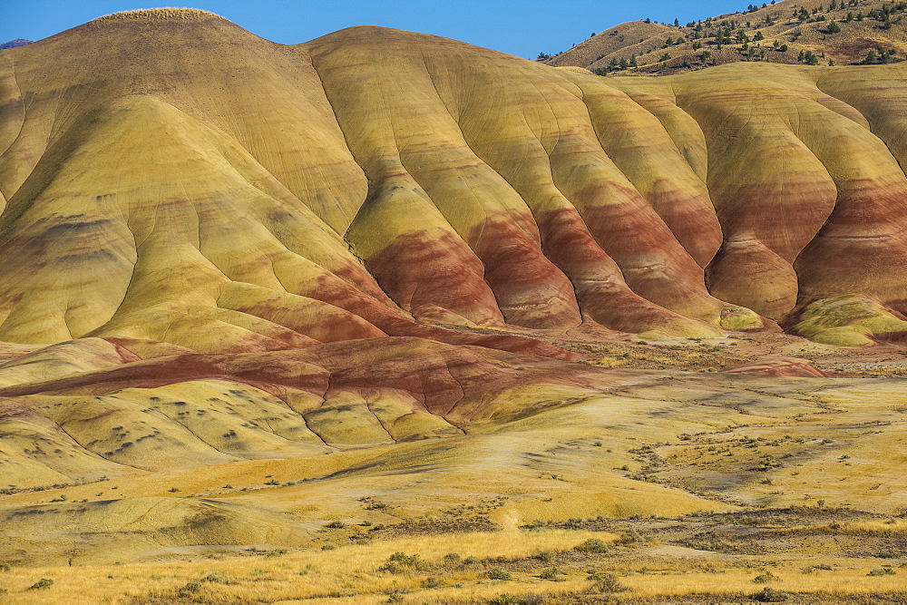 Multicoloured strata in the Painted Hills unit in the John Day Fossil Beds National Monument, Oregon, United States of America, North America