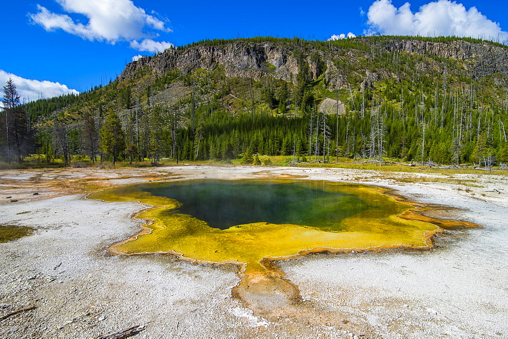 Colourful Emerald Pool, Black Sand Basin, Yellowstone National Park, UNESCO World Heritage Site, Wyoming, United States of America, North America