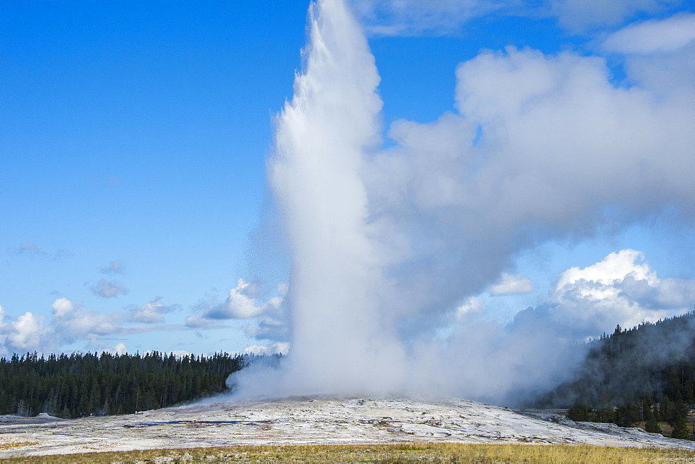 Erupting Old Faithful Geyser, Yellowstone National Park, UNESCO World Heritage Site, Wyoming, United States of America, North America