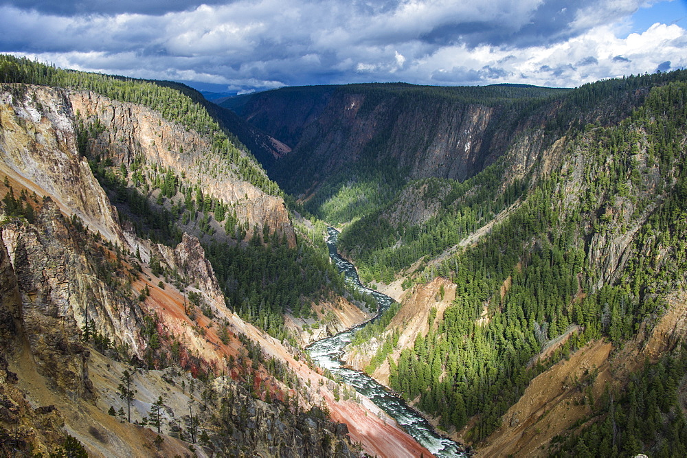 The colourful Grand Canyon of the Yellowstone, Yellowstone National Park, UNESCO World Heritage Site, Wyoming, United States of America, North America