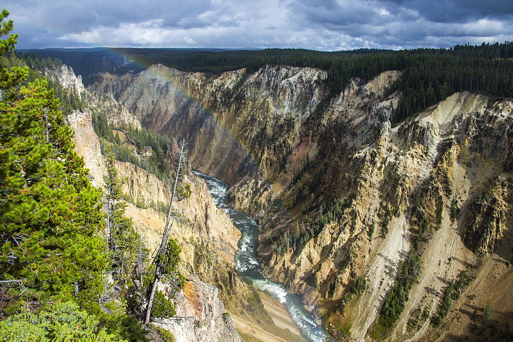 The colourful Grand Canyon of the Yellowstone, Yellowstone National Park, UNESCO World Heritage Site, Wyoming, United States of America, North America